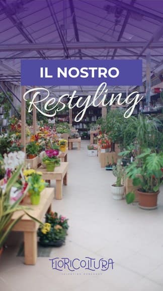 Story social Floricoltura Roncador, pianta della settimana