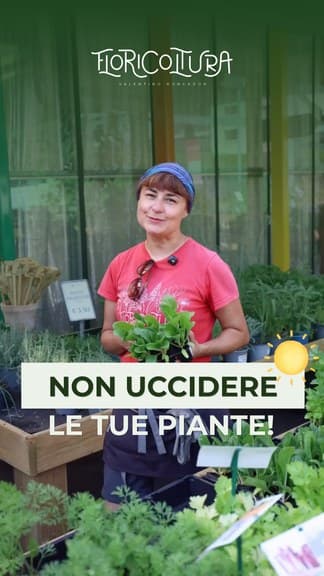 Story social Floricoltura Roncador, consigli di cura delle piante