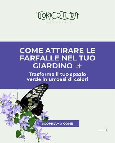 Post social Floricoltura Roncador, come attirare le farfalle in giardino