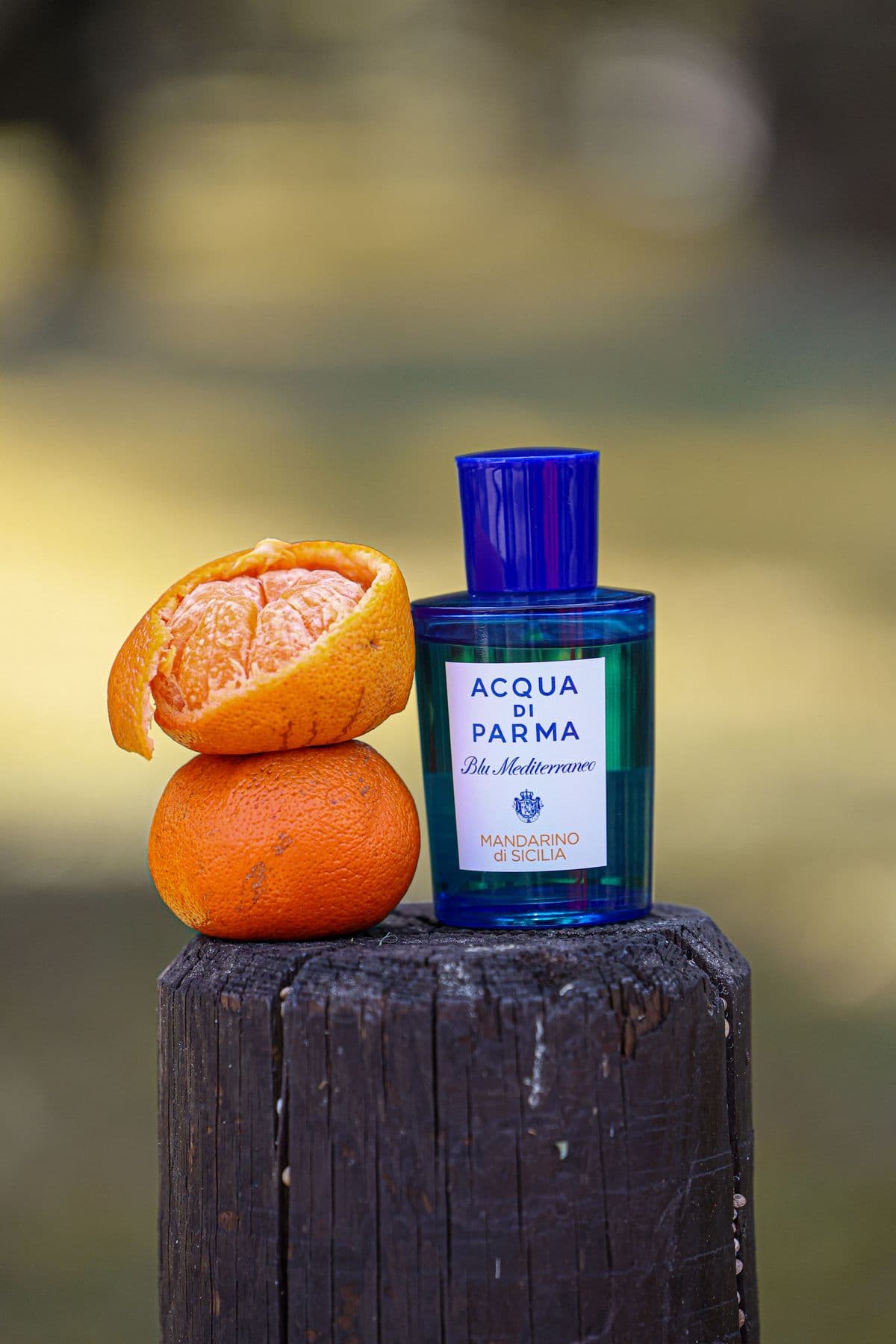 Acqua di Parma Arancia di Capri con arance fresche