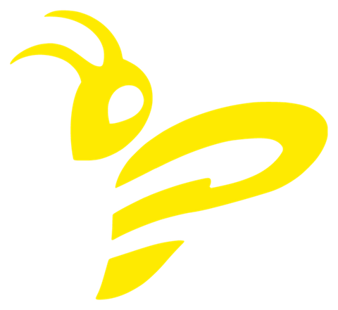 Pallamano Pressano